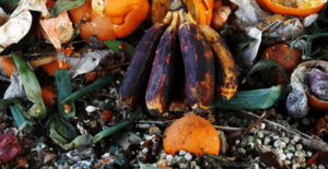 concrete-bins-rotting-compost-min