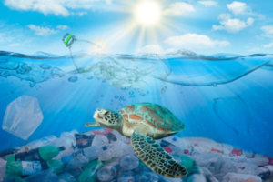 concrete-bin-polluted-ocean-min