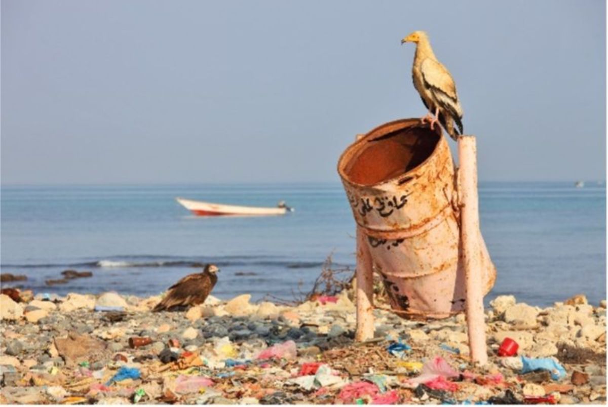 concrete-bin-litter-beach-min